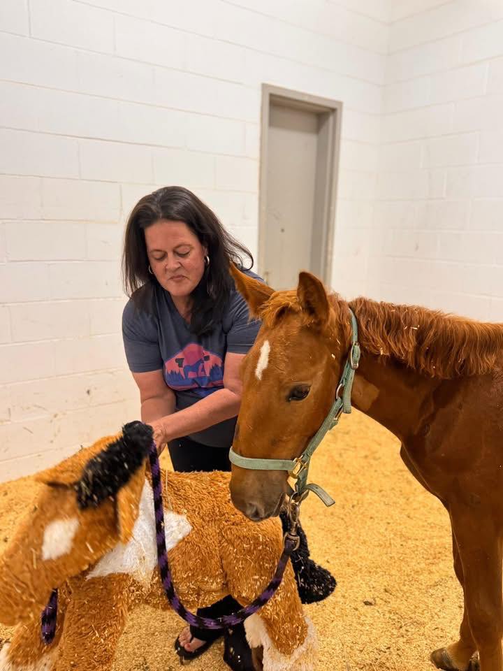 Rocking R Ranch and... - Rocking R Ranch and Rescue, Inc.