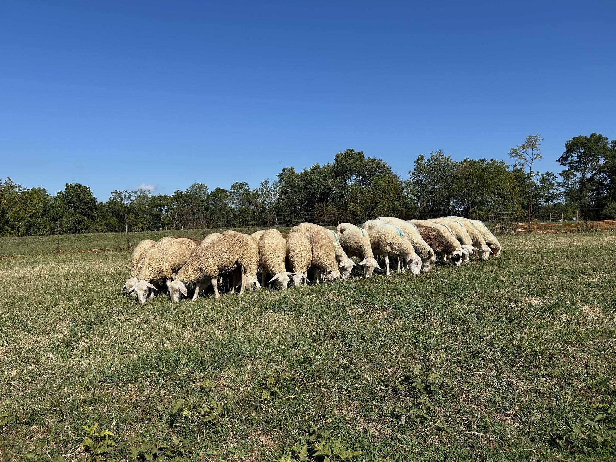 Raspberry Ridge Creamery | Bangor PA