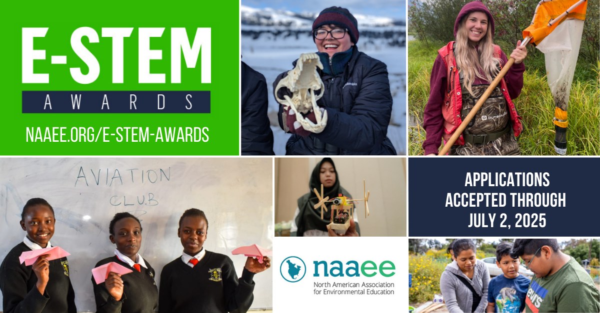 North - The Global E-STEM Awards are back to support initiatives ...