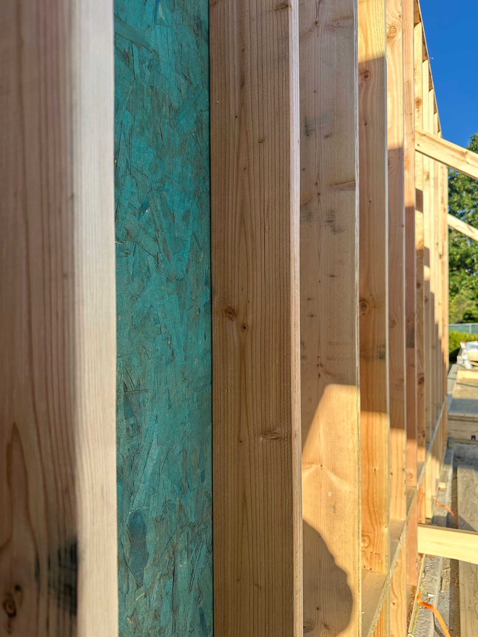 New Horizon Restoration Inc.