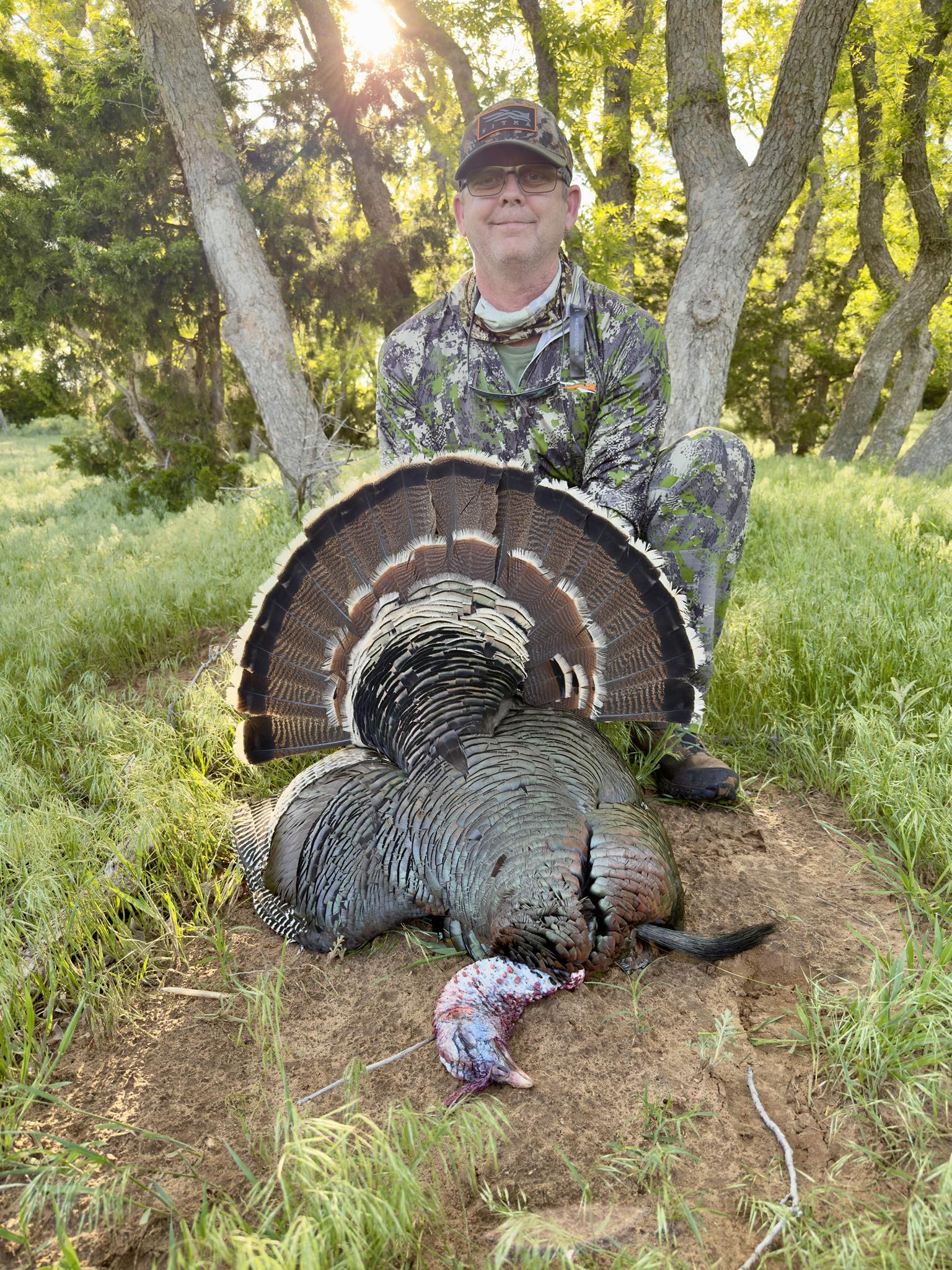 Doug - 2025 Turkey Season at a glance Ocellated Osceola Eastern Merriam ...