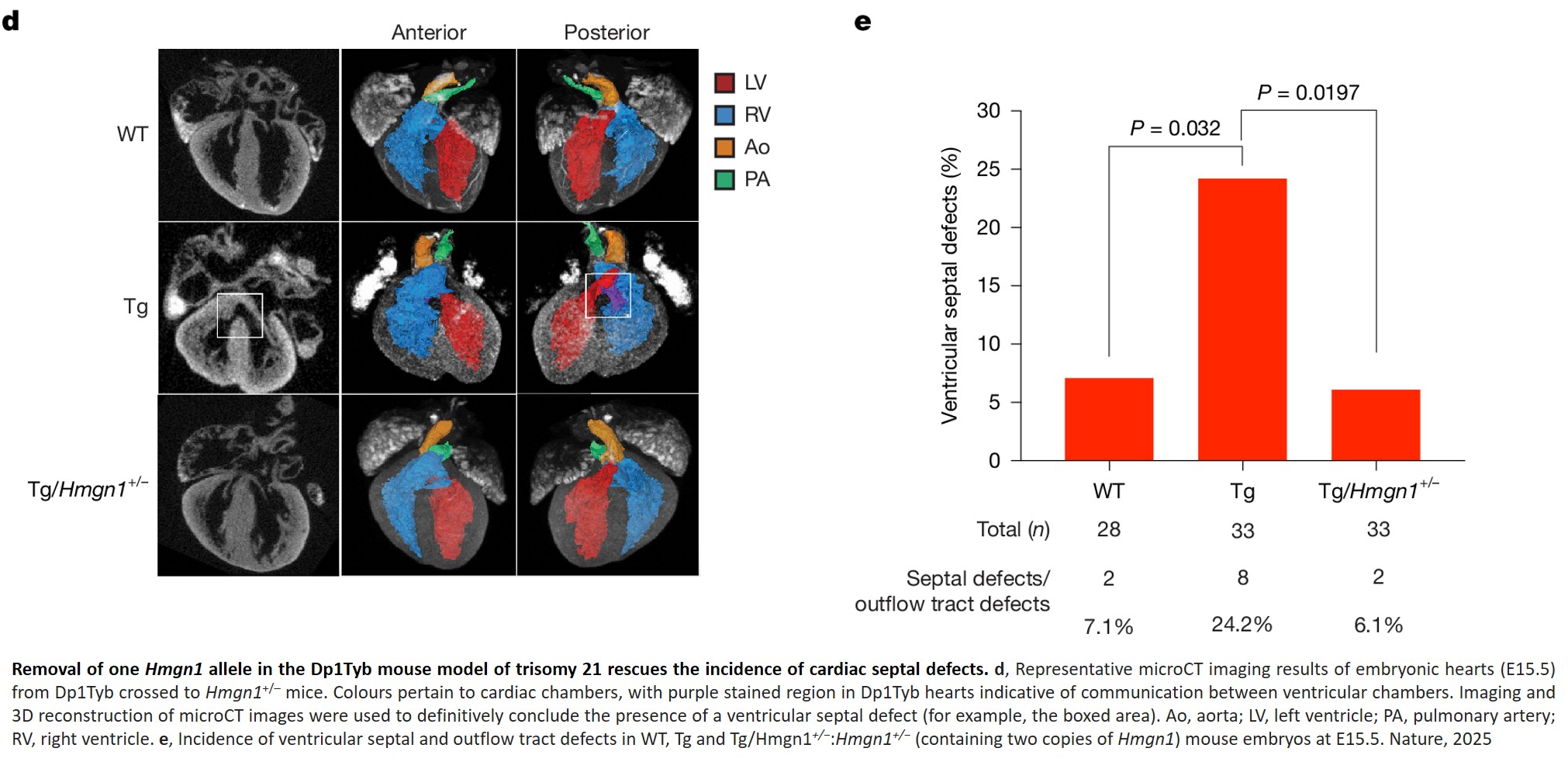 Science Mission - A key gene behind heart defects in Down... | Facebook