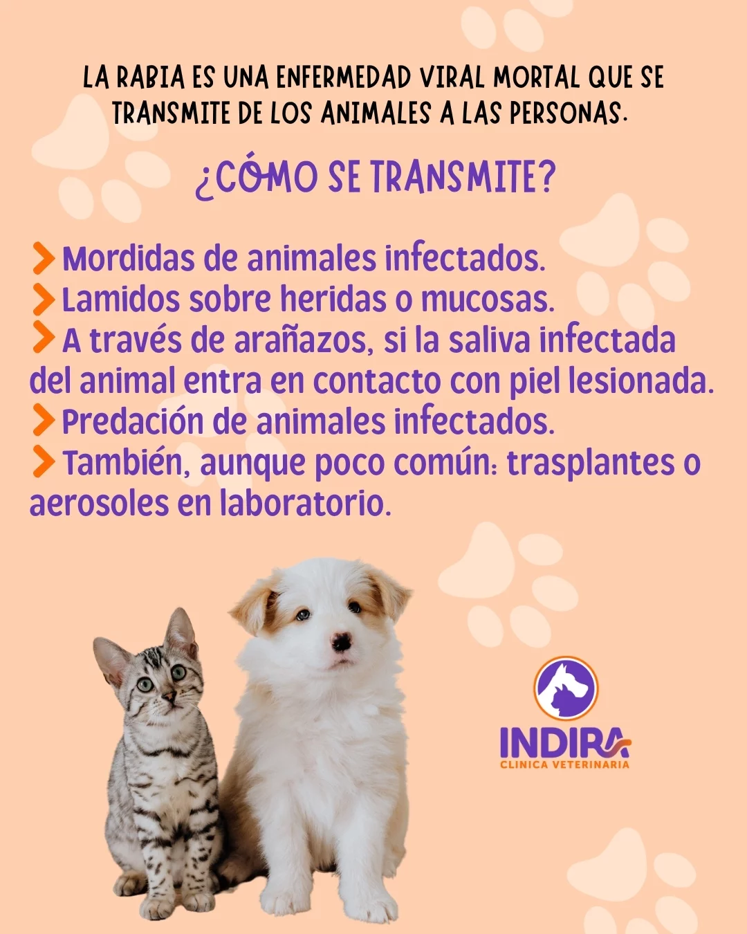 Indira Veterinaria | Guaymallén
