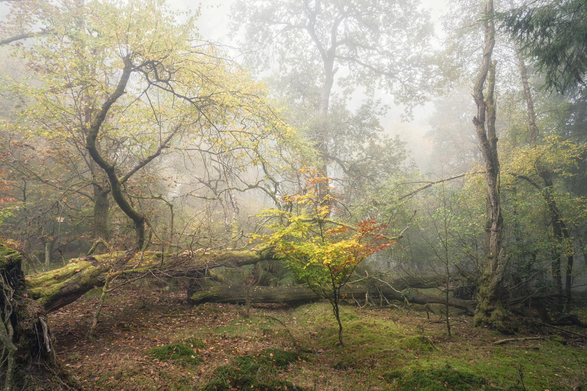 Tom Blockley Photographer