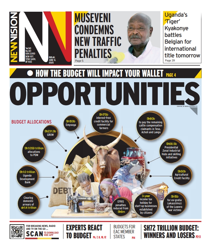 The New Vision - 📰 The New Vision — Friday Edition 💰 How... | Facebook
