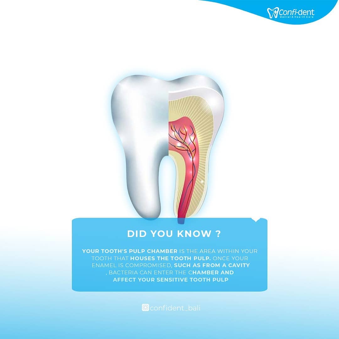 Confident dental and health care - Your tooth's pulp chamber is the ...
