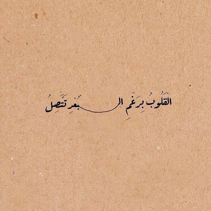 Mariam Ragab