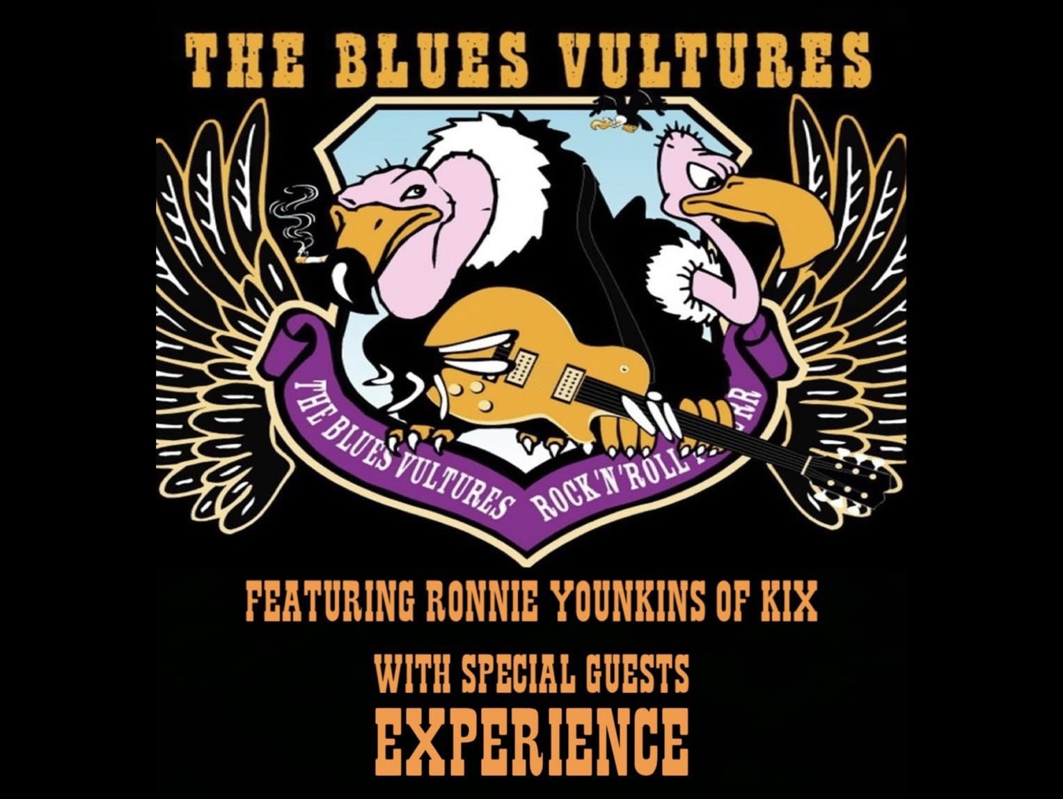 The Blues Vultures and Experience Live at The Race Horse Tavern