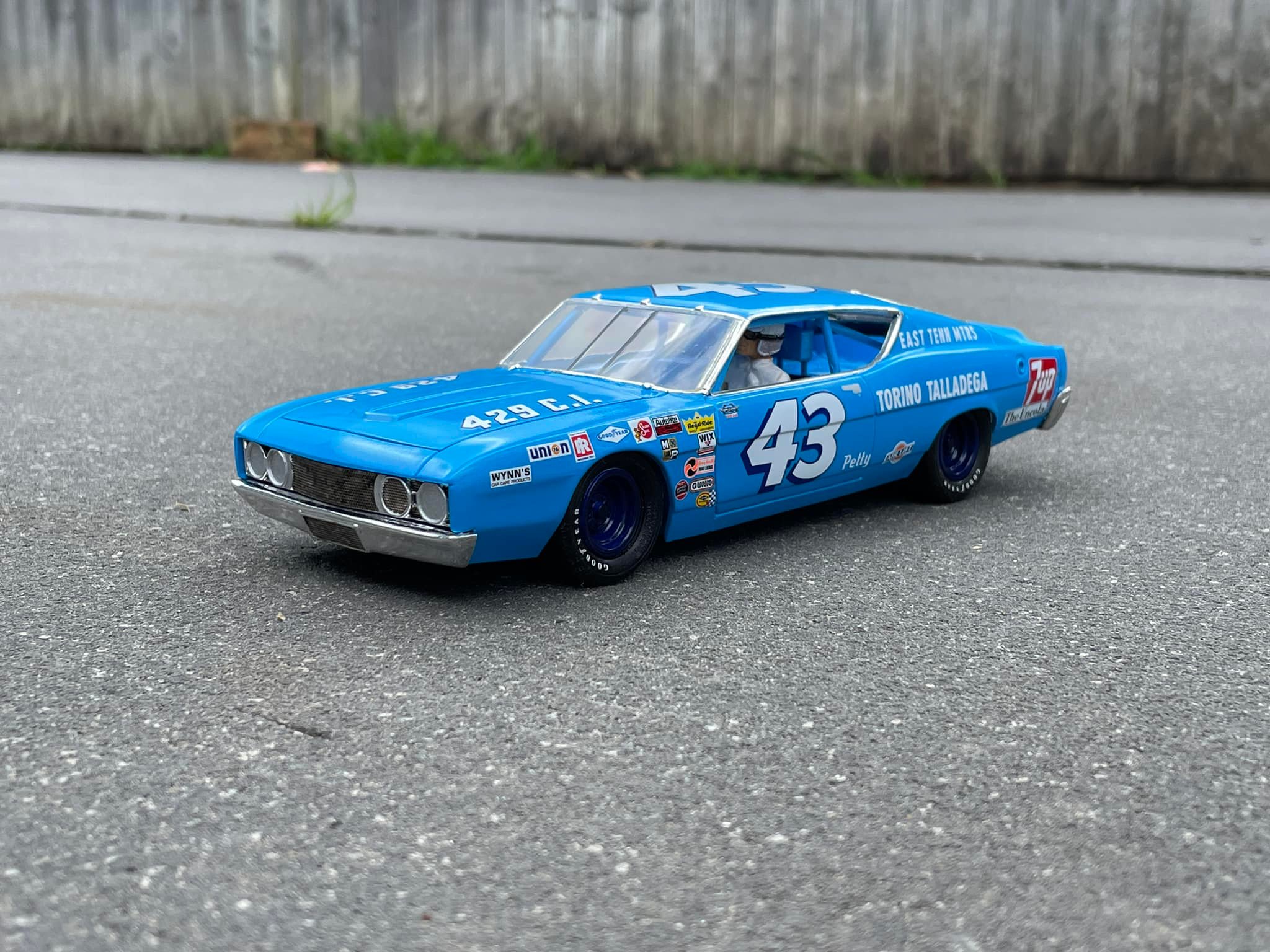 Polar Lights Richard Petty