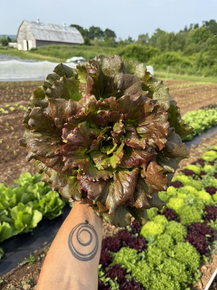 Strattons Farm | Annapolis NS