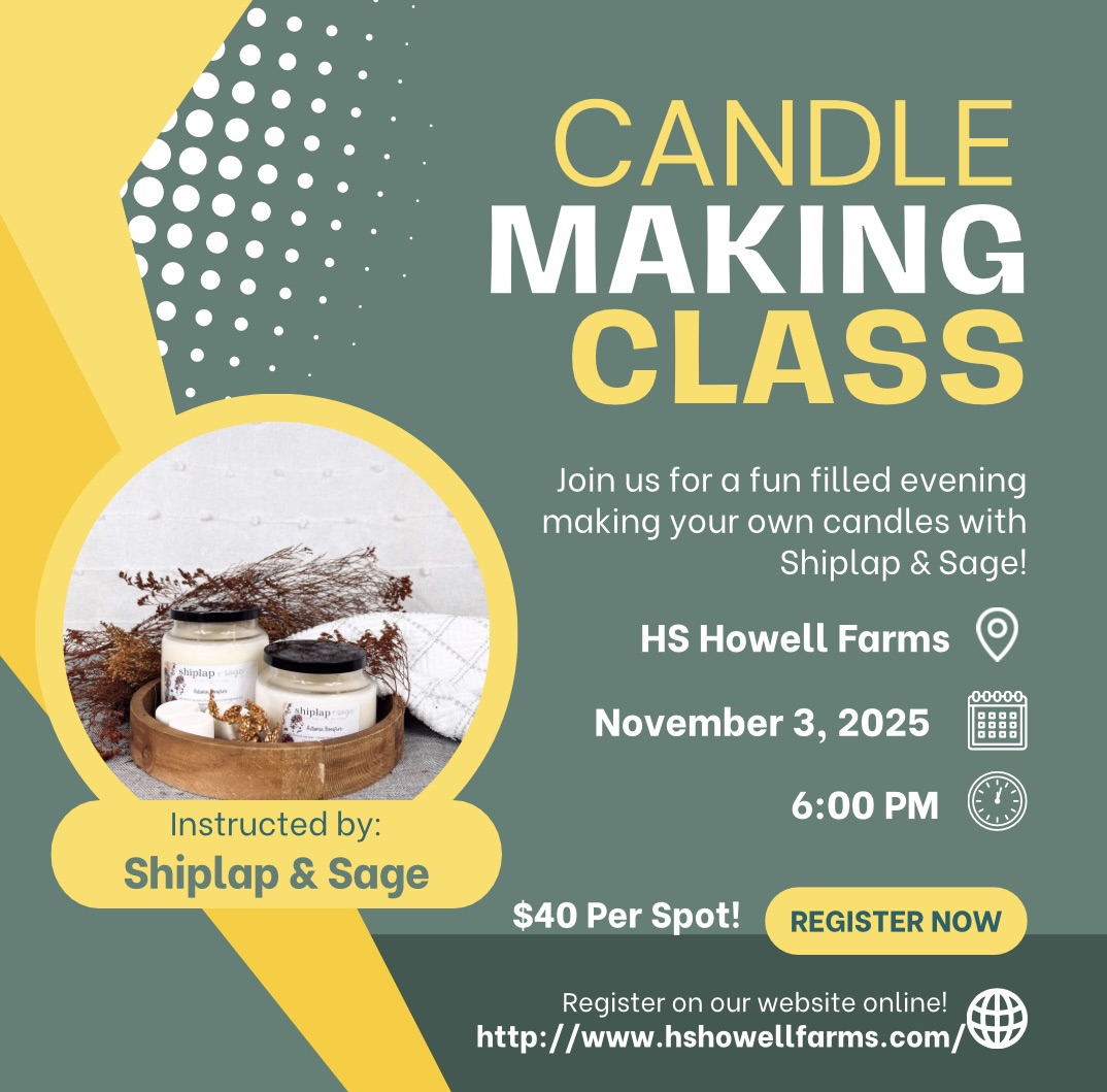 Candle Making Class with Shiplap & Sage 11/3/25