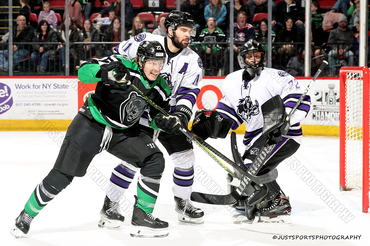 02-22-2025 BINGHAMTON BLACK BEARS... - JustSports Photography
