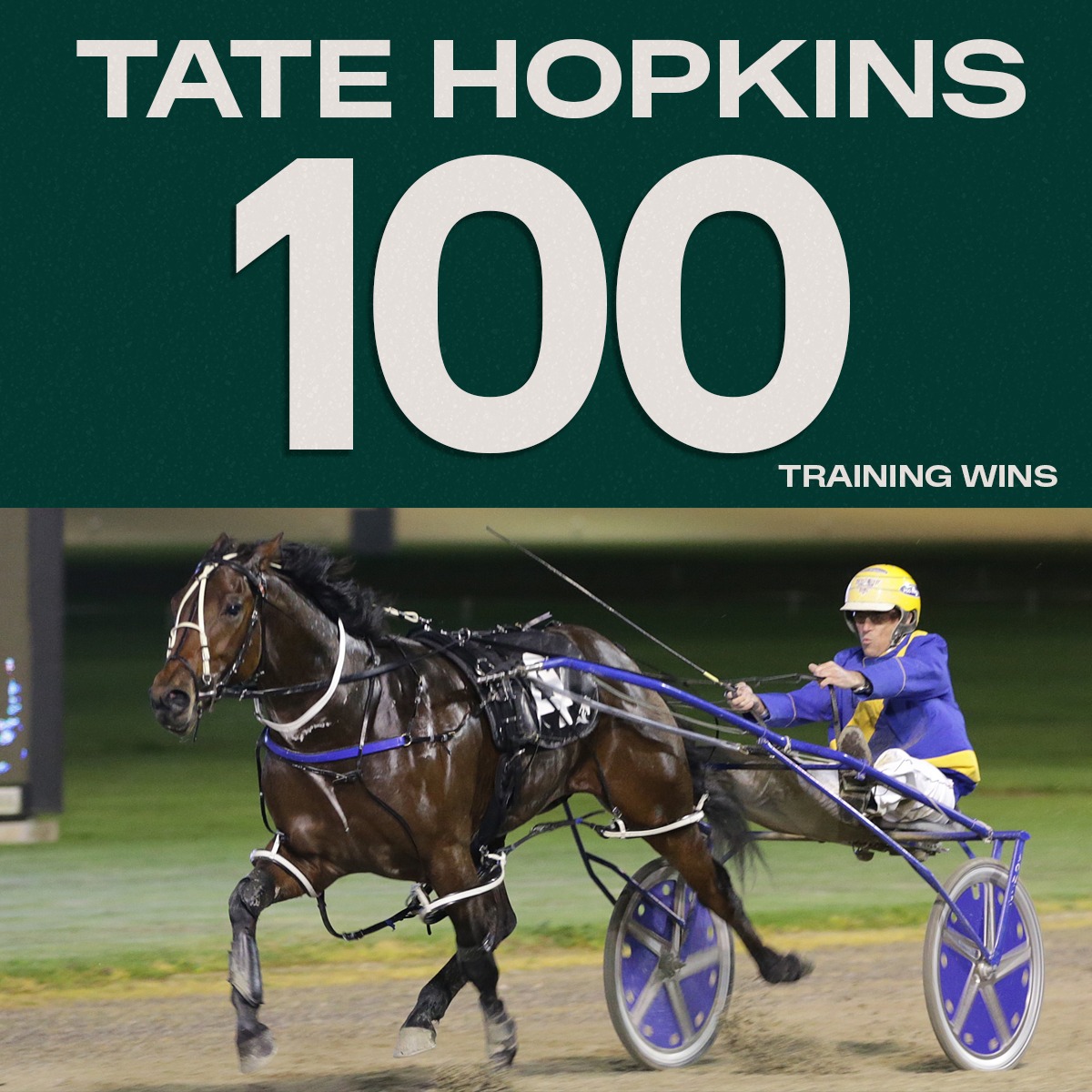 100 for TATE HOPKINS 🥳 At... - Harness Racing New Zealand | Facebook