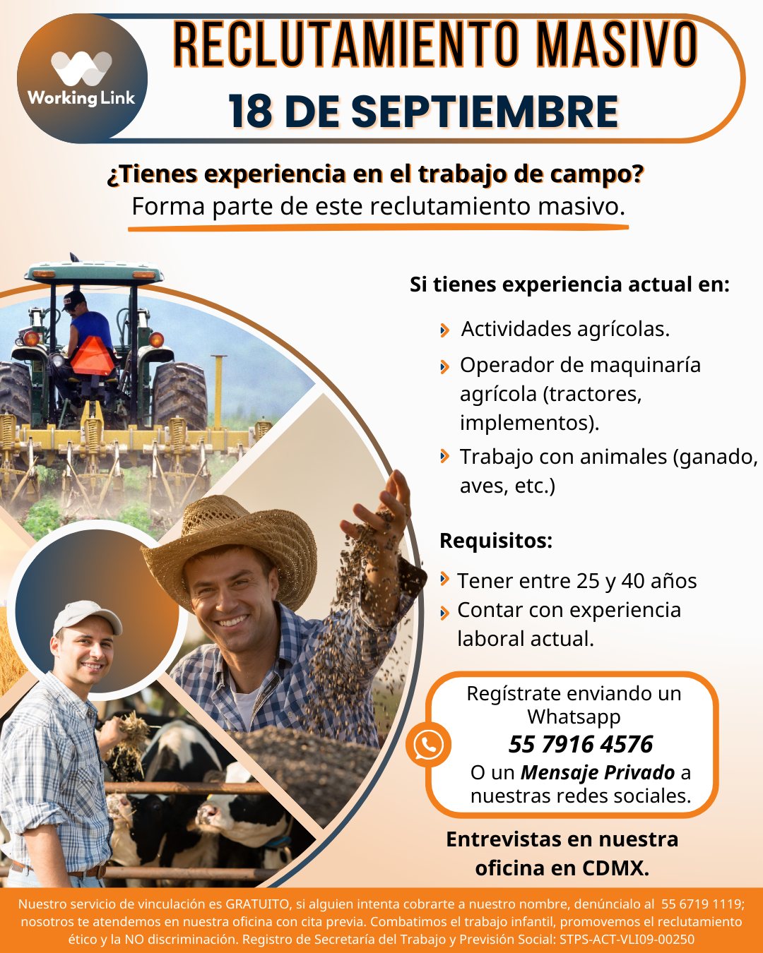Working Link, S.A de C.V added... - Working Link, S.A de C.V