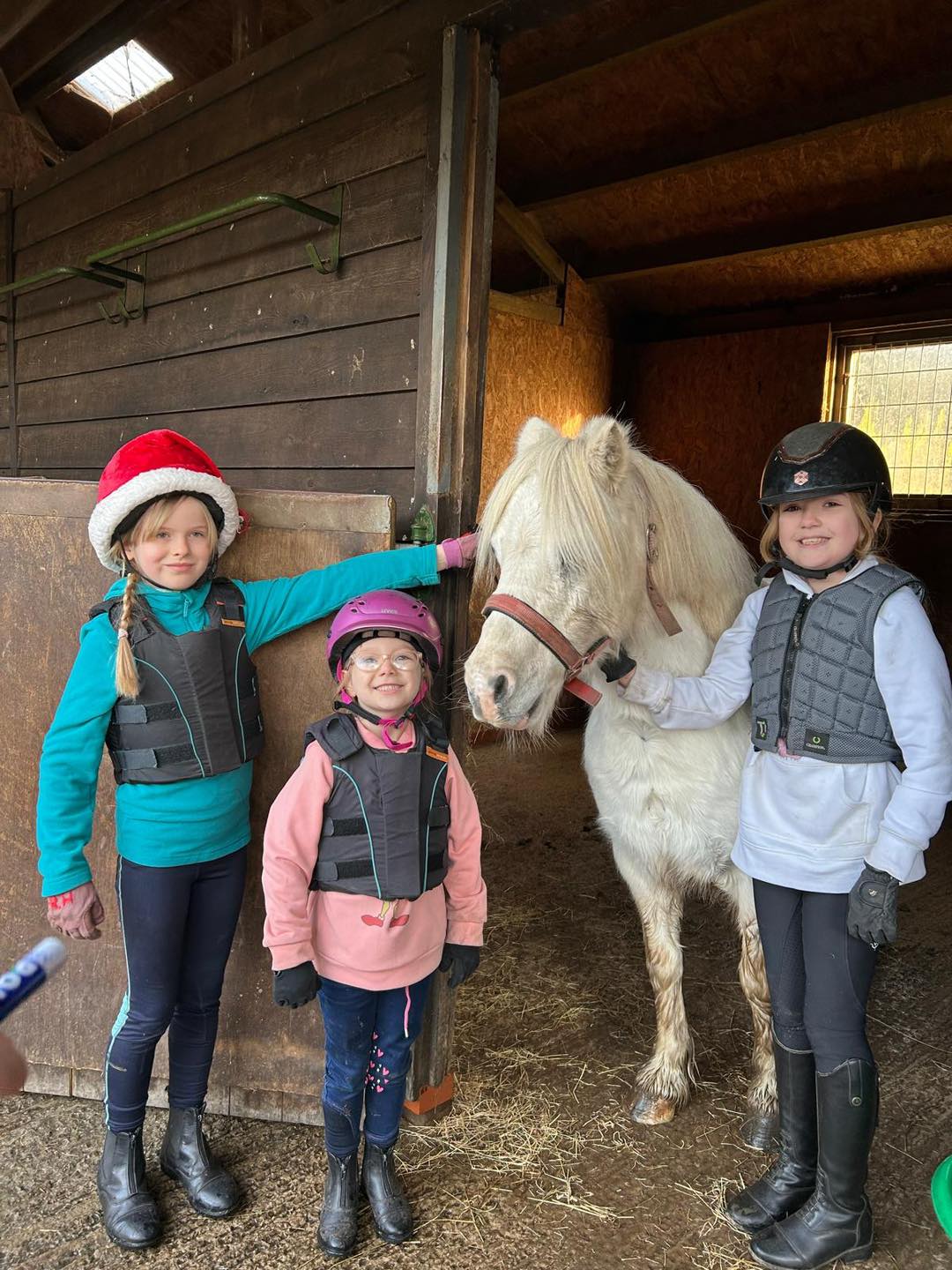 Freshfields Equestrian Centre