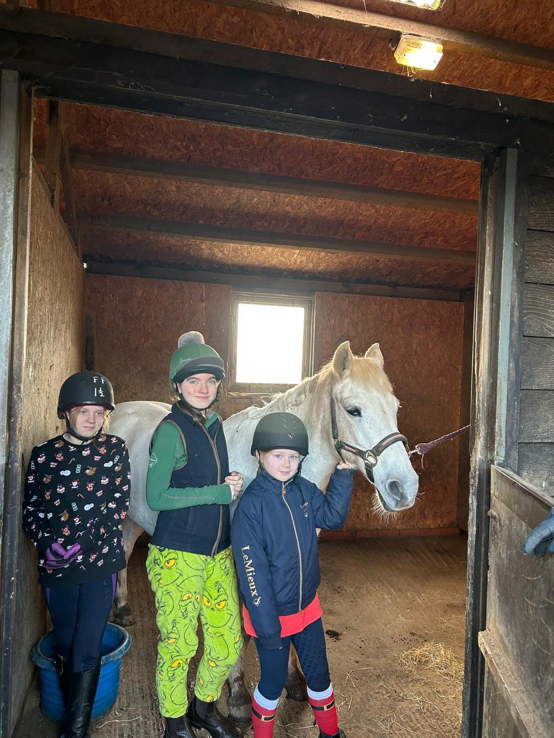 Freshfields Equestrian Centre
