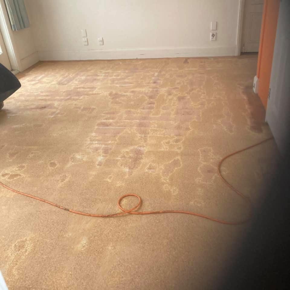 Roy Waite Floor Sander | Auckland
