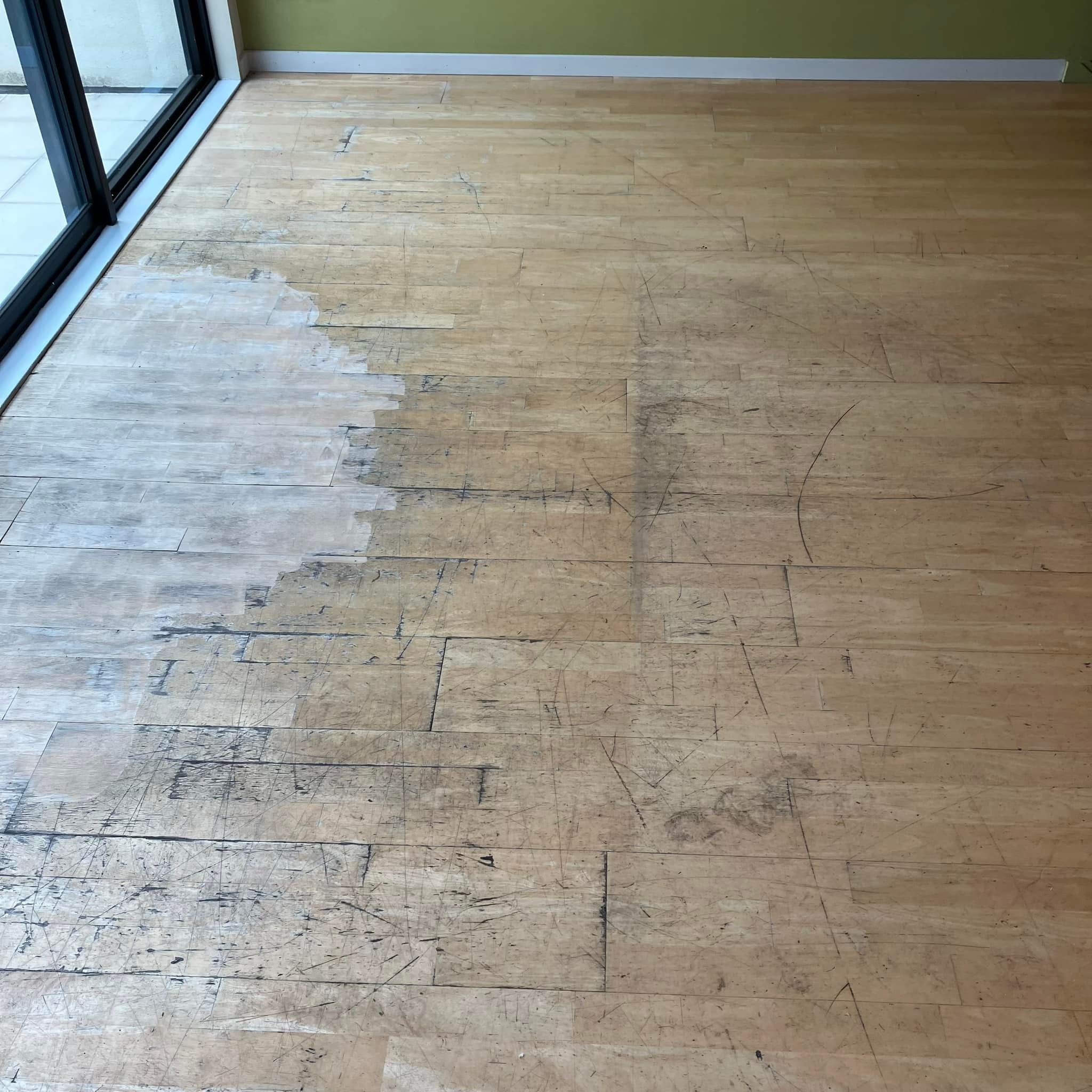Roy Waite Floor Sander | Auckland