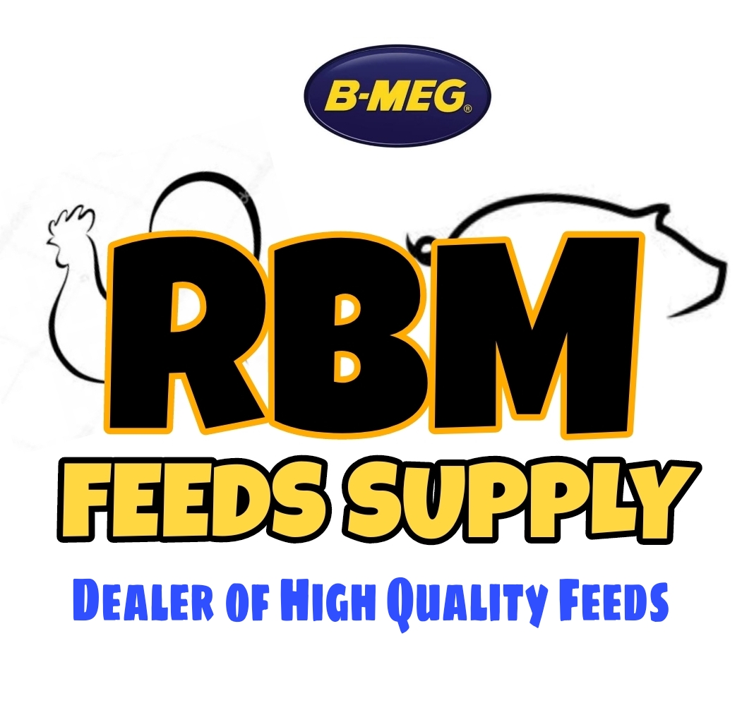 RBM FEEDS | Taal