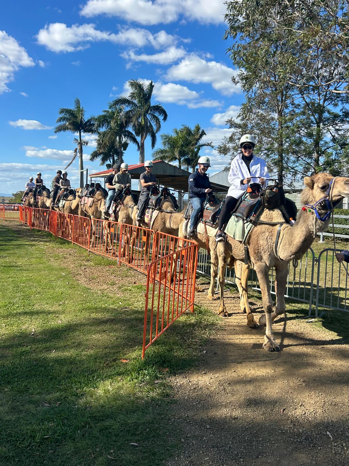 ? Scenic Rim Signature Camel Ride & Tasting (90-minute experience 