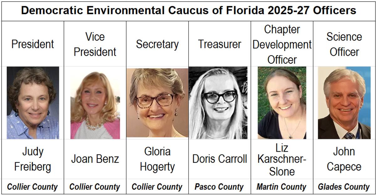 The... - Democratic Environmental Caucus of Florida (DECF) | Facebook