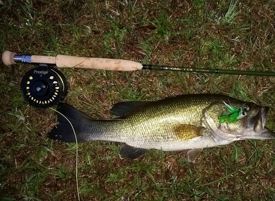 shimano sienna 1000 manual Engineered with a well Are vintage fly fishing RodRack Depth:25.5