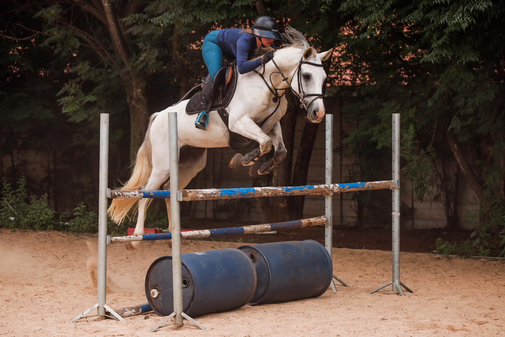 マリー Hocuss Pocus, exceptional 2019 AQHA ranch gelding for sale