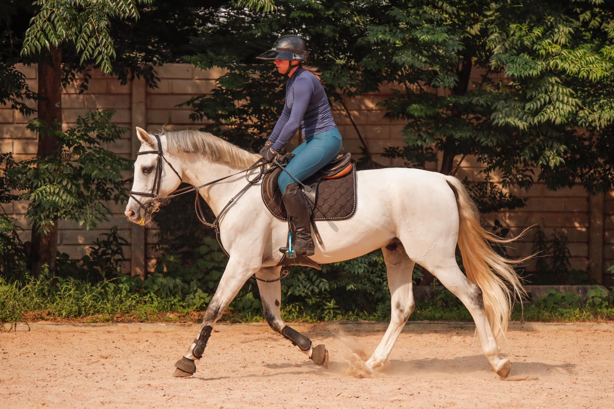 Hocuss Pocus, exceptional 2019 AQHA ranch gelding for sale