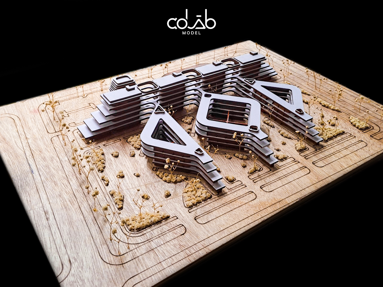Co LAB Model
