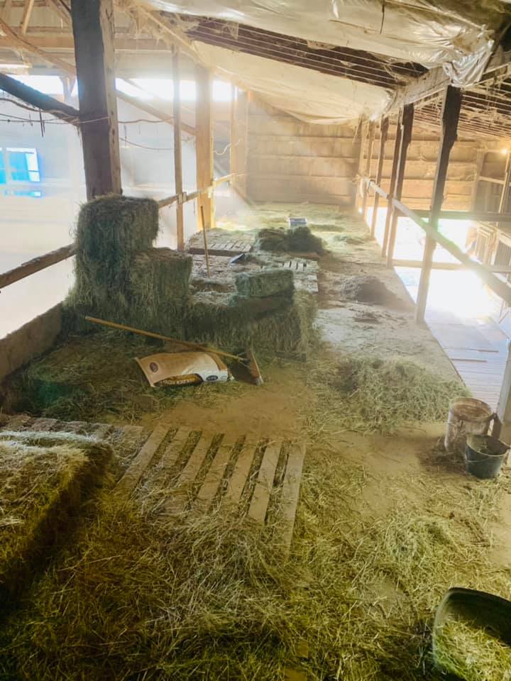 Wanted to share some before and after... - River Rock Ranch | Facebook