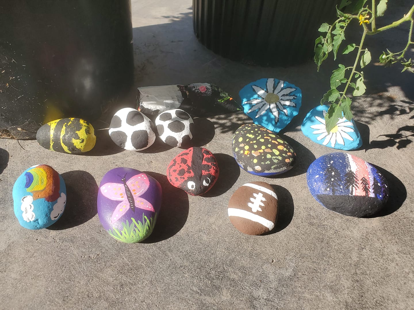 Kamloops Rocks