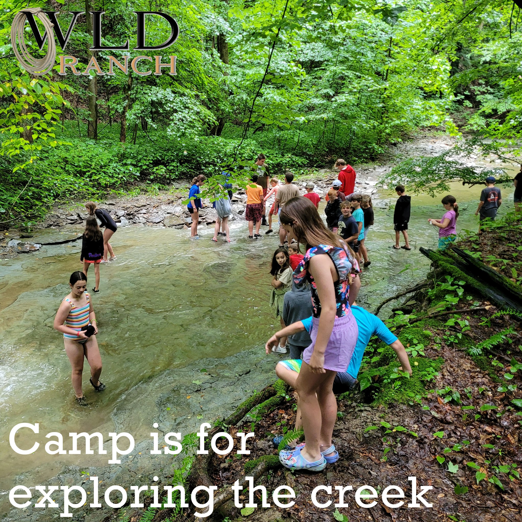 WLD Ranch | Girard PA