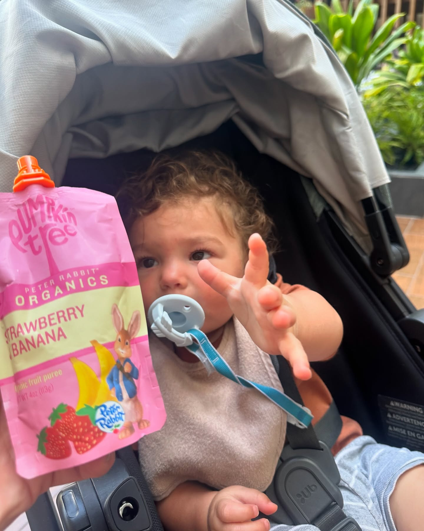 Peter Rabbit Organics