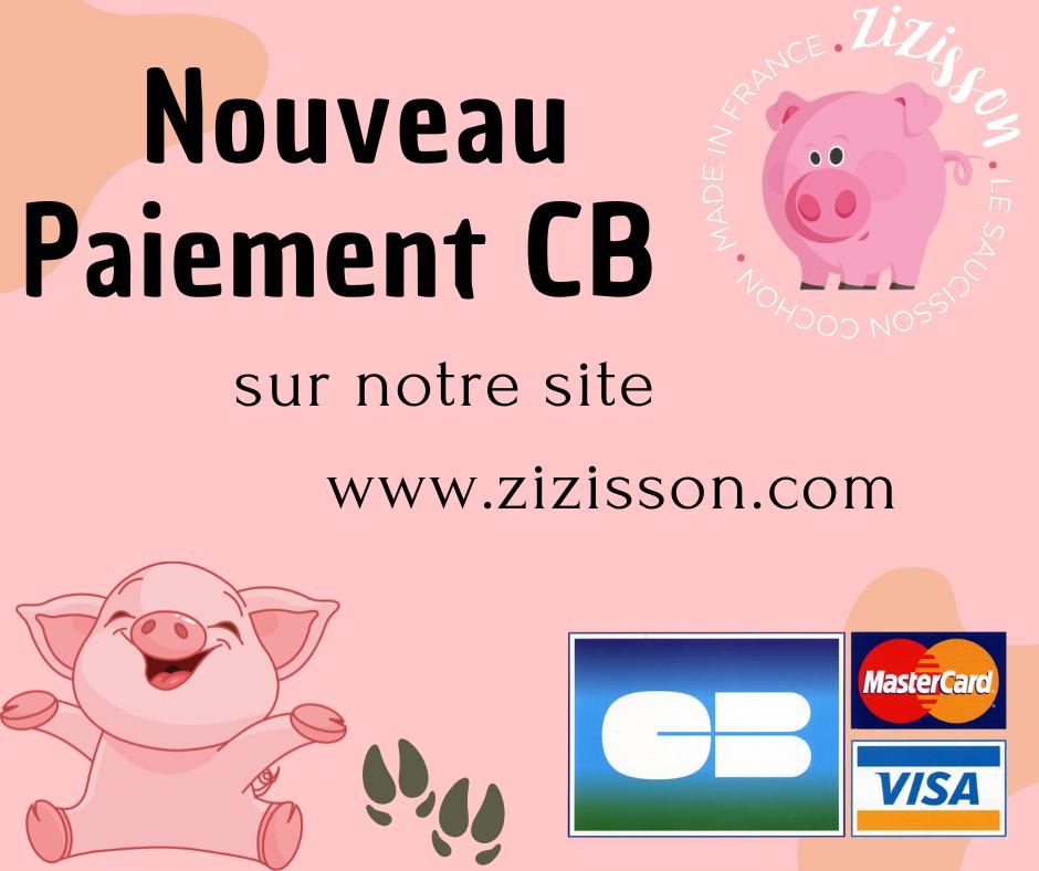 Zizisson
