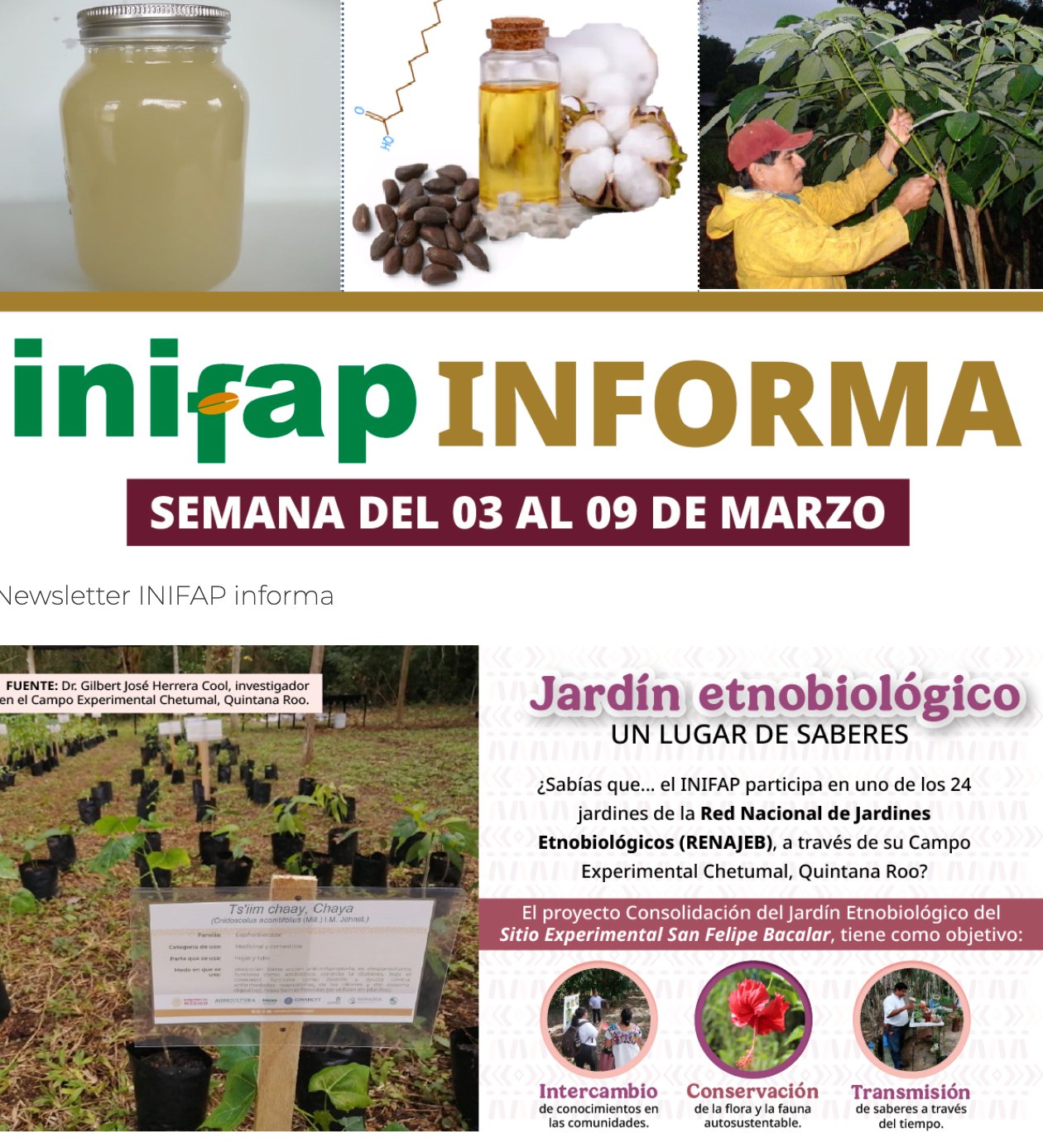 INIFAP - 🌿 ¡Descubre el Jardín Etnobiológico del INIFAP! 🌿 Nuestro ...