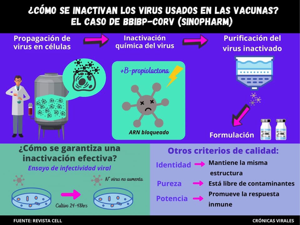 ¿CÓMO SE INACTIVAN LOS VIRUS USADOS EN... - Crónicas Virales