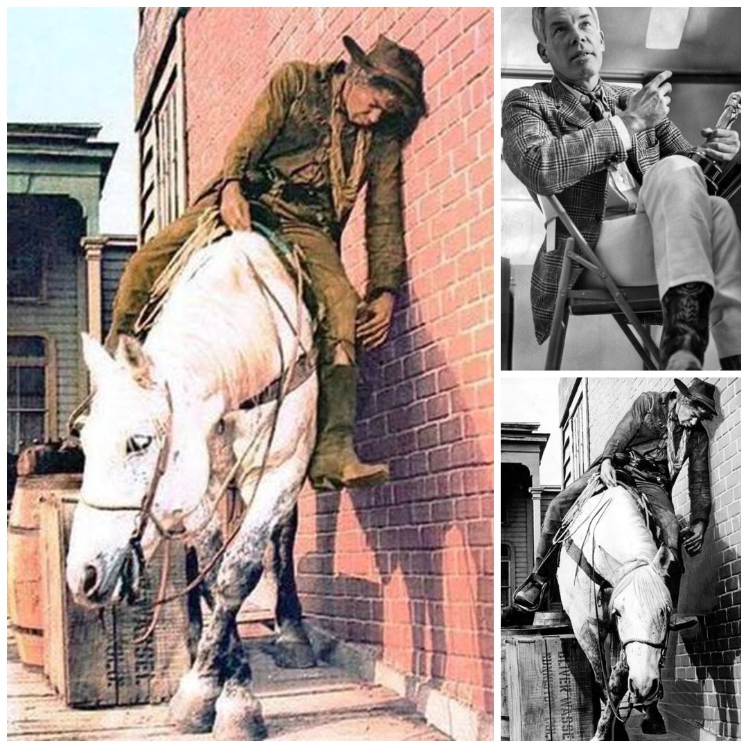 Loyal - Lee Marvin and the Horse Who Shared His Oscar In 1966, Lee ...