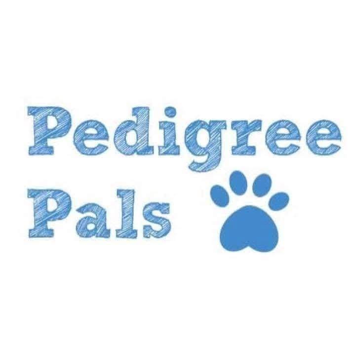Thursday woop woop | Pedigree-Pals