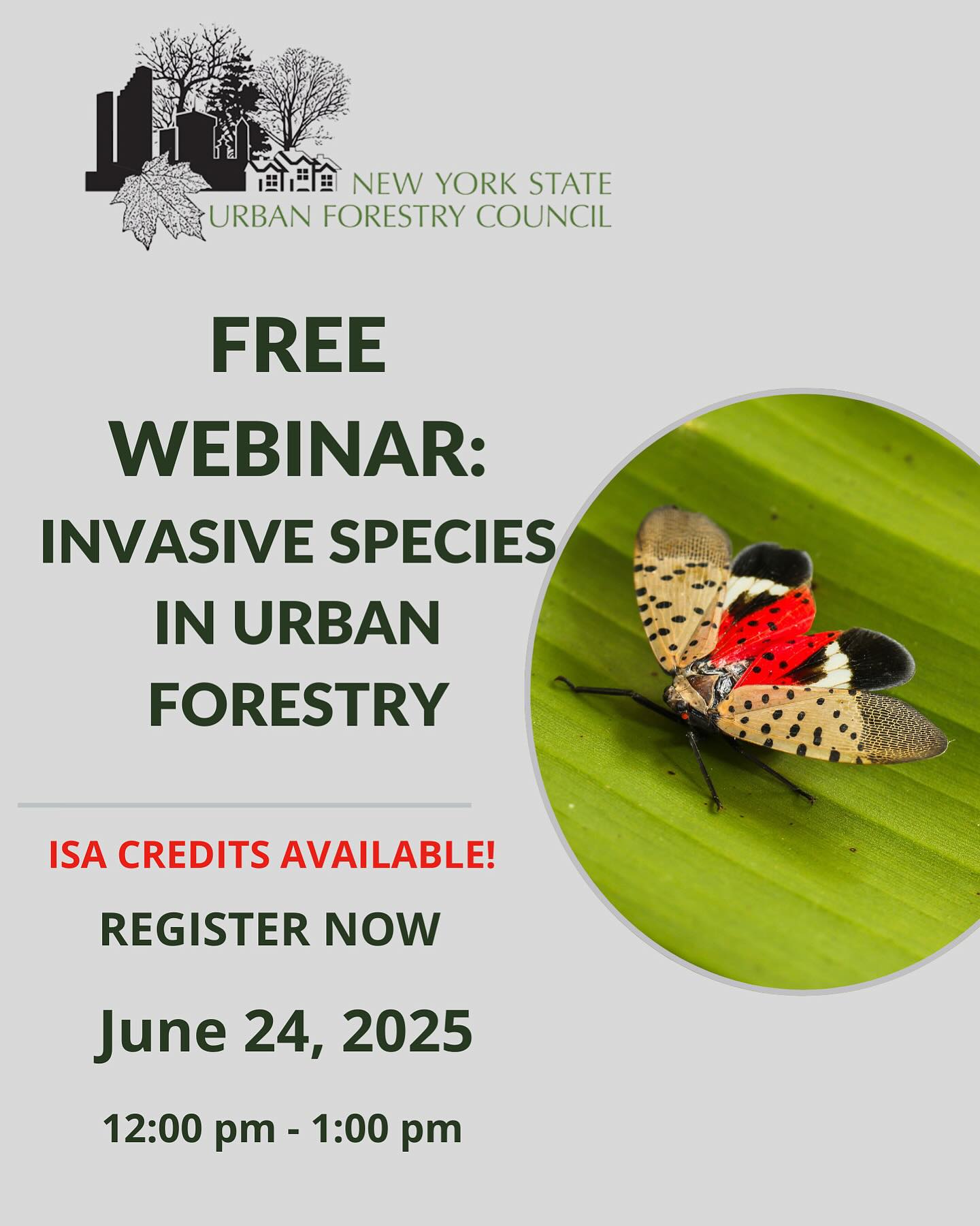 🌳 Manhattan’s... - The New York State Urban Forestry Council | Facebook