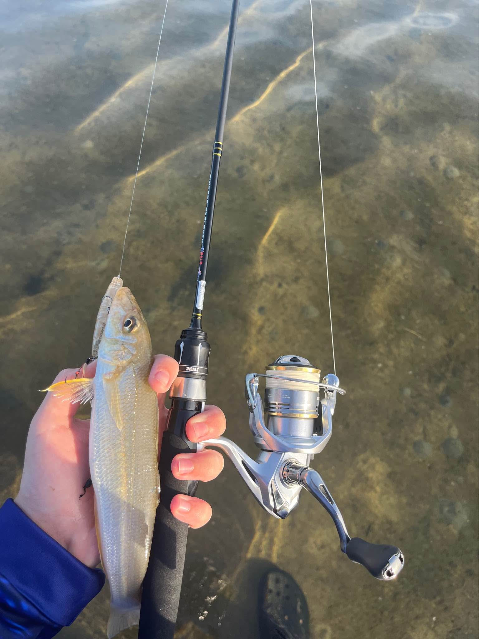Insalt Noodle rod 1-2kg Sedona 1k - Fishing - Australind, Western ...