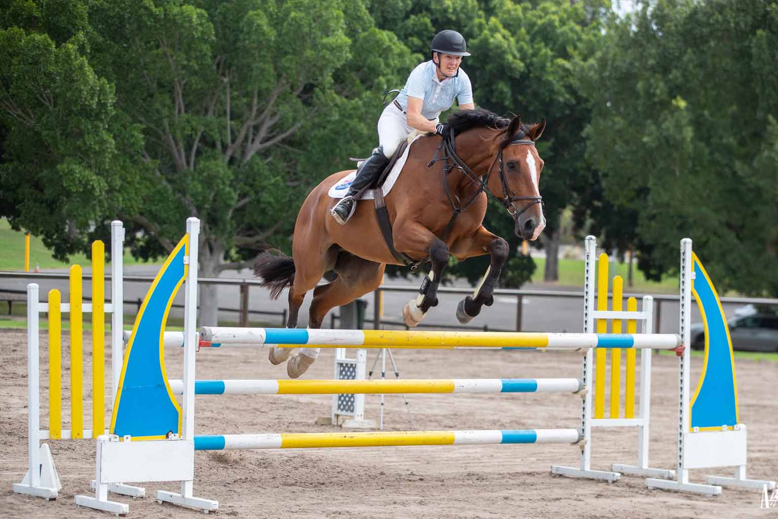 Australian - VICKI ROYCROFT | A legend of Australian Jumping, Vicki ...