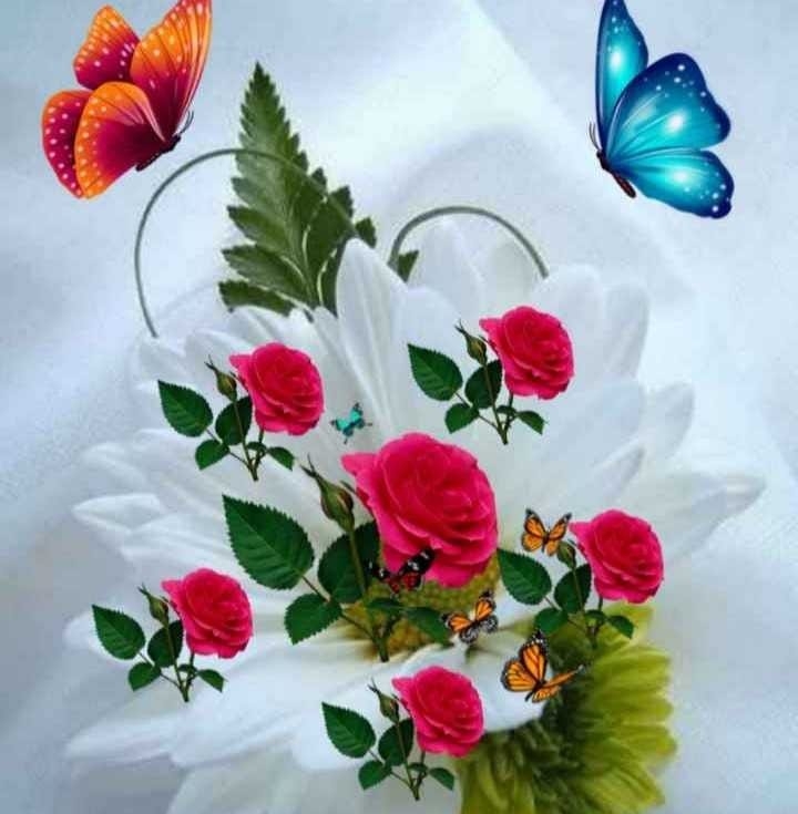 Kuldeep raj