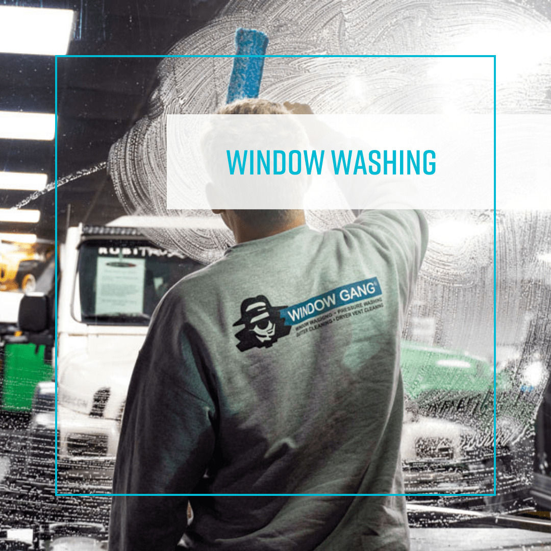 Window Gang