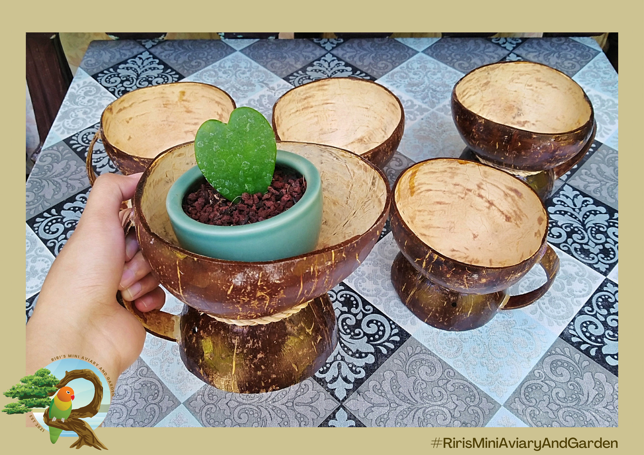 Riri's Mini Aviary And Garden | Tanza