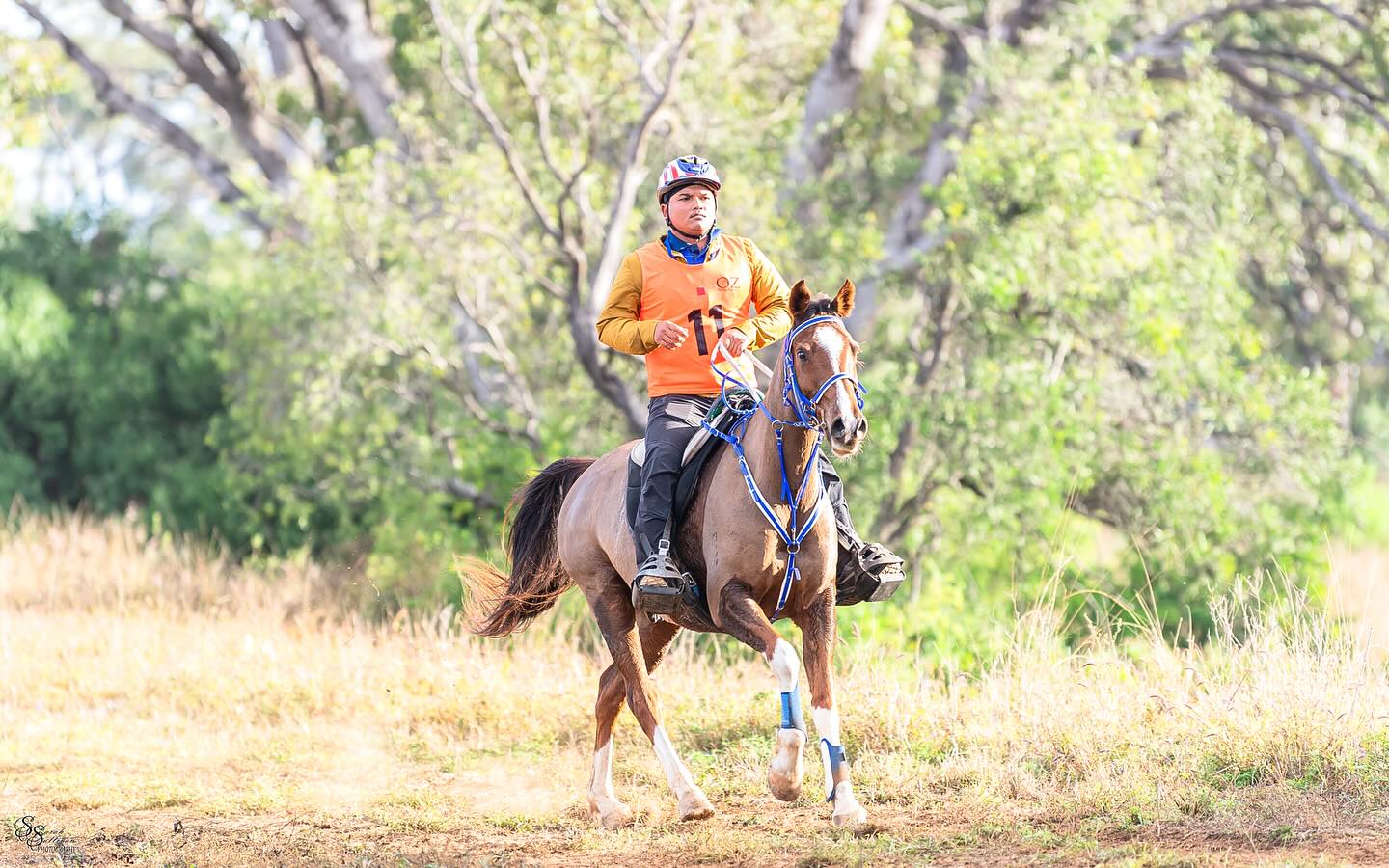 Bullio Razorback | Orange NSW