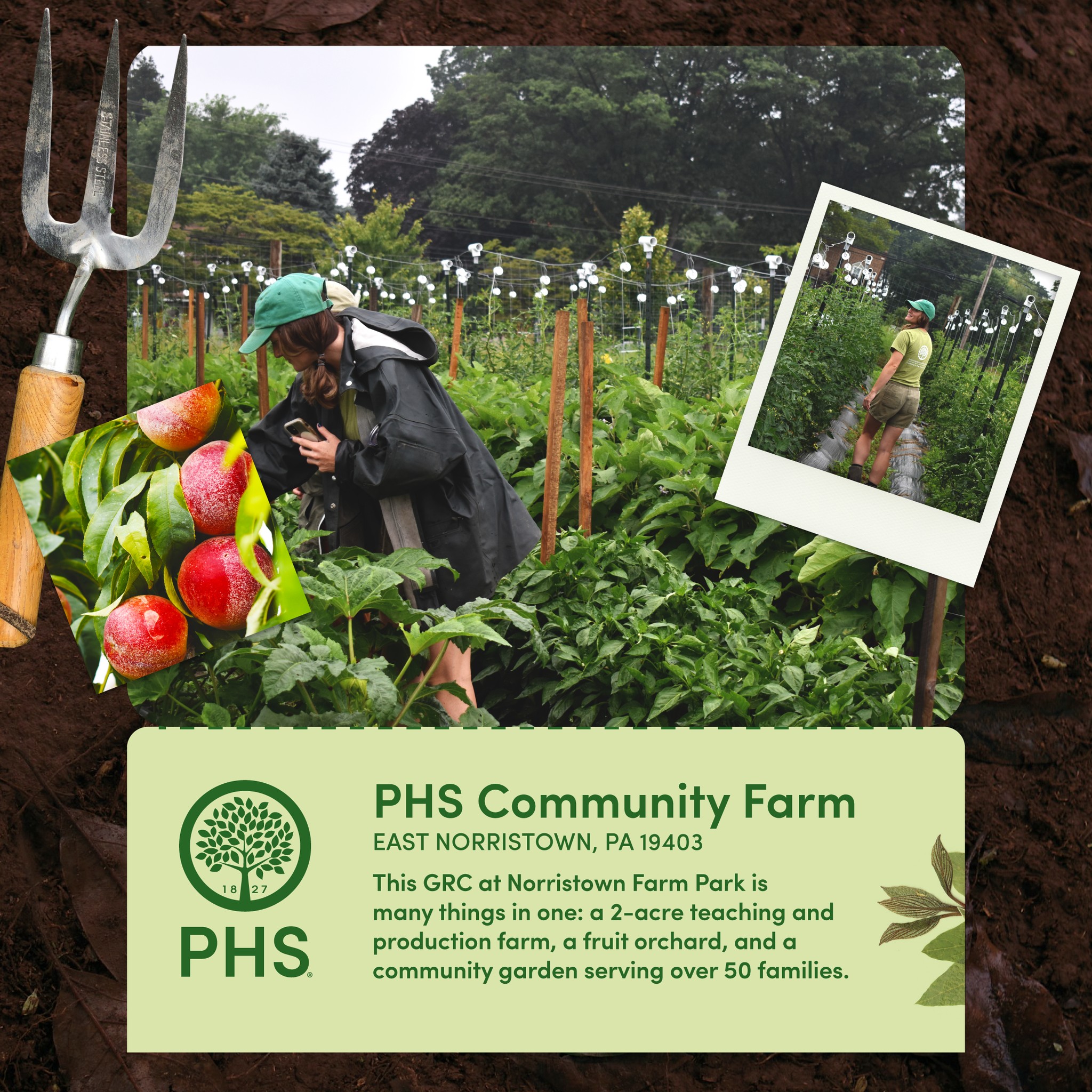 PHS Pennsylvania Horticultural Society - If you need a break from ...