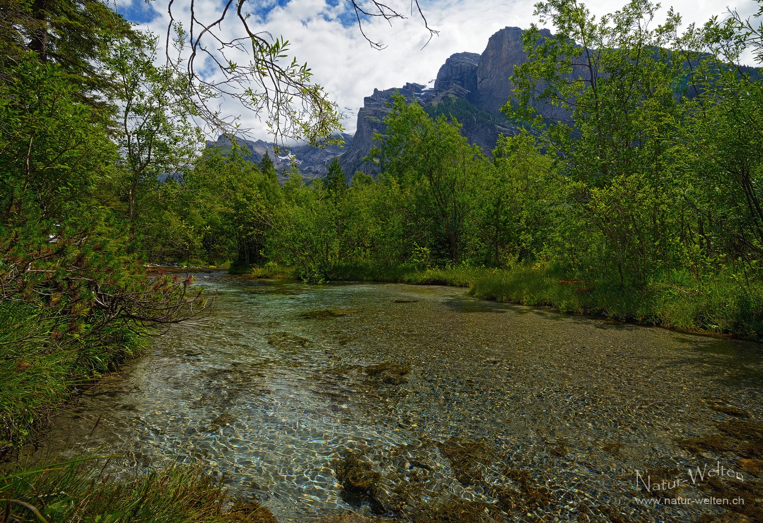 Natur-Welten - 🇩🇪 Immer wieder sind wir sehr gerne in unserem ...