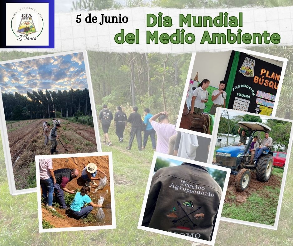EFA - 5 de junio Día MUNDIAL DEL MEDIO AMBIENTE La Organización de las ...