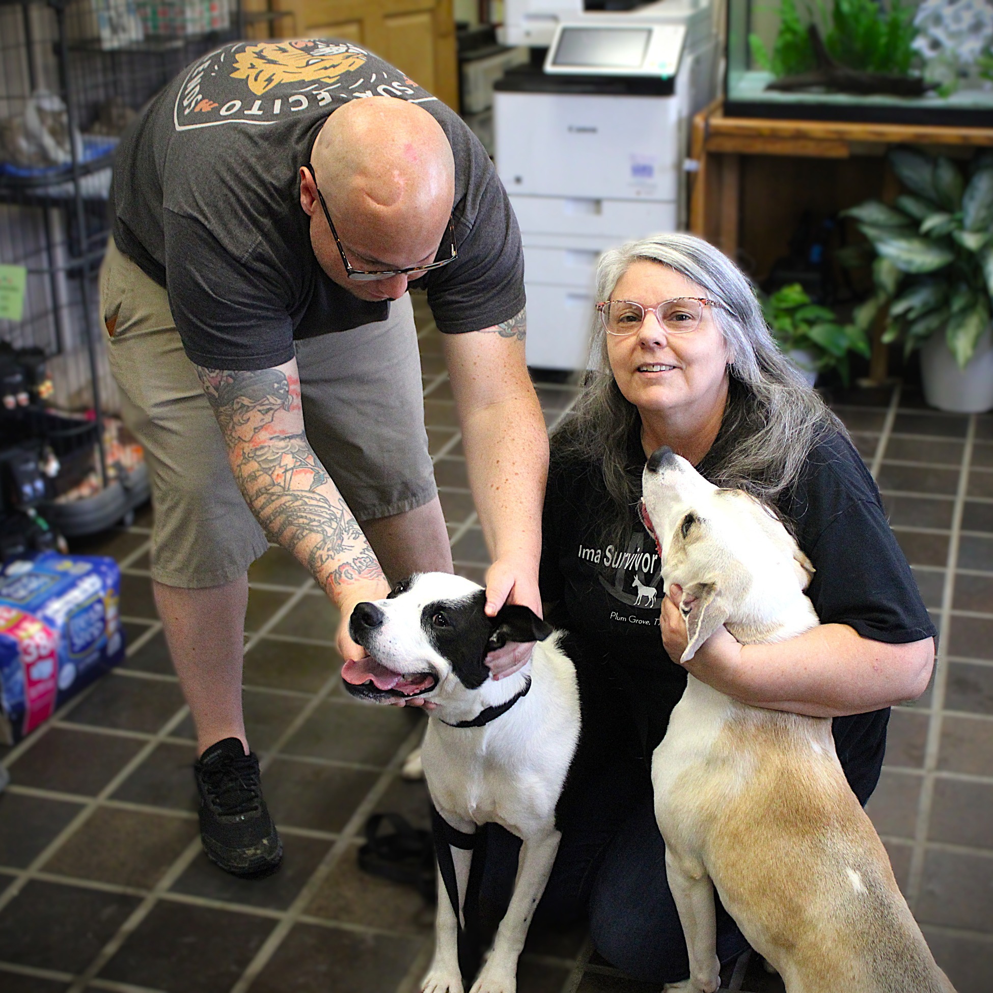 Humane Society of Cambria County | Johnstown PA