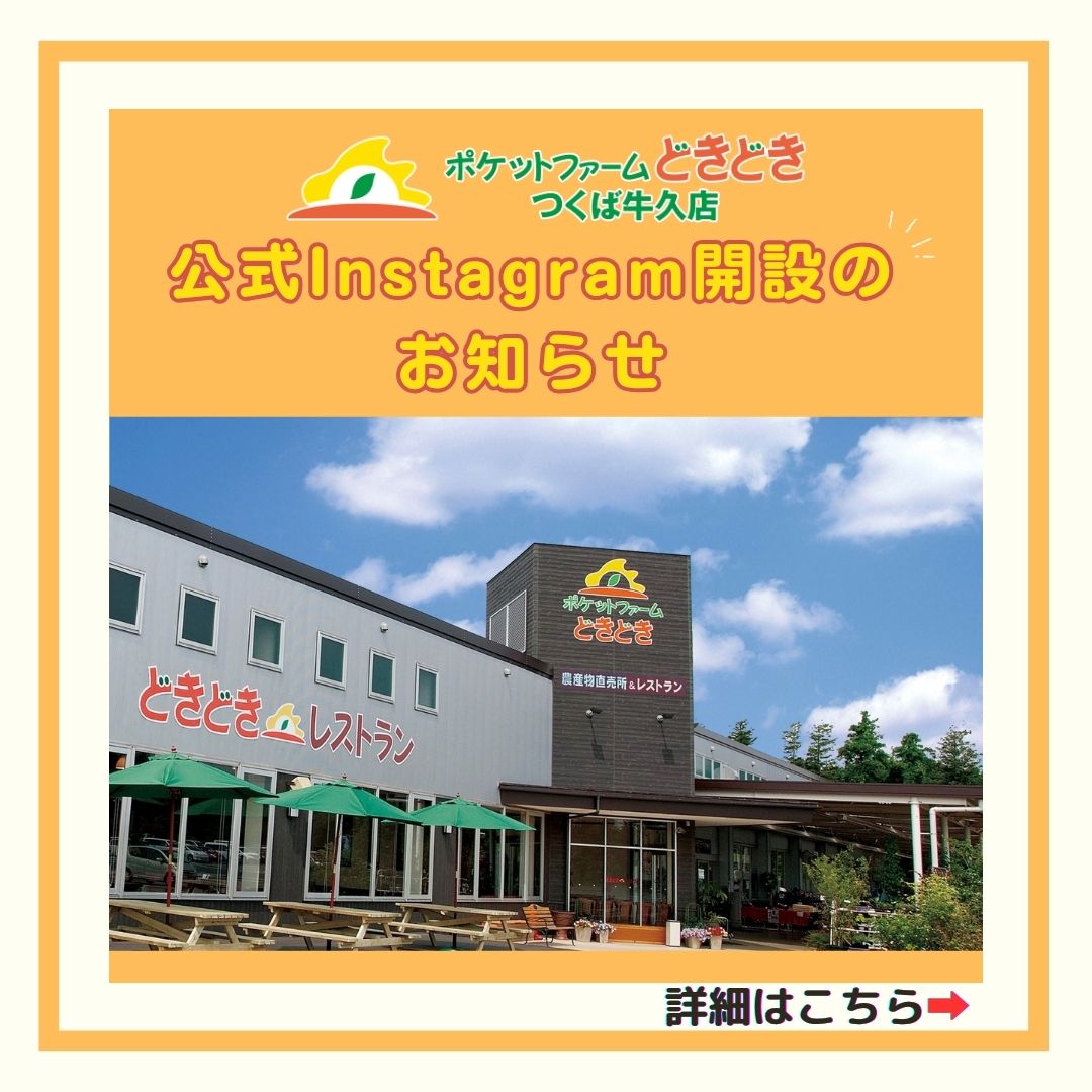 ポケット ファーム どきどき つくば 牛久 店